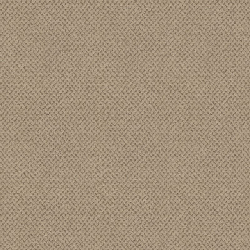 La Parade carpet by Masland