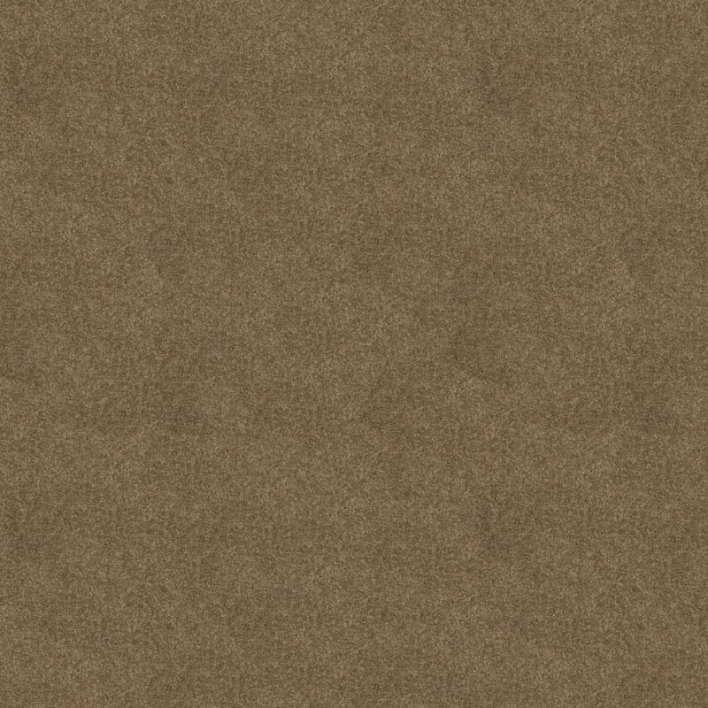 Harbor Town carpet by Masland