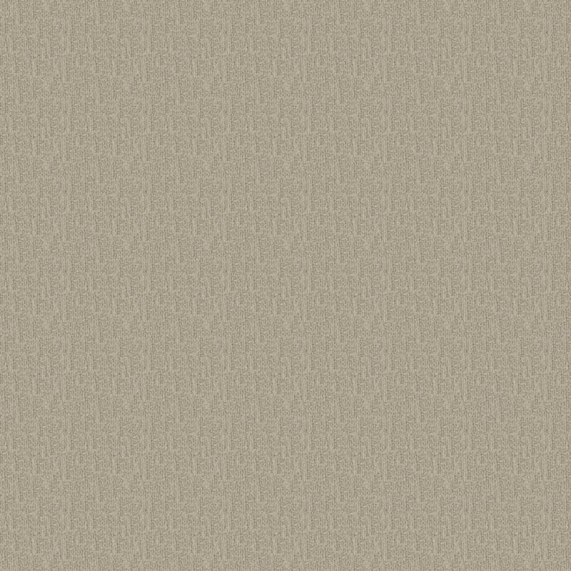 Casa Grande carpet by Masland