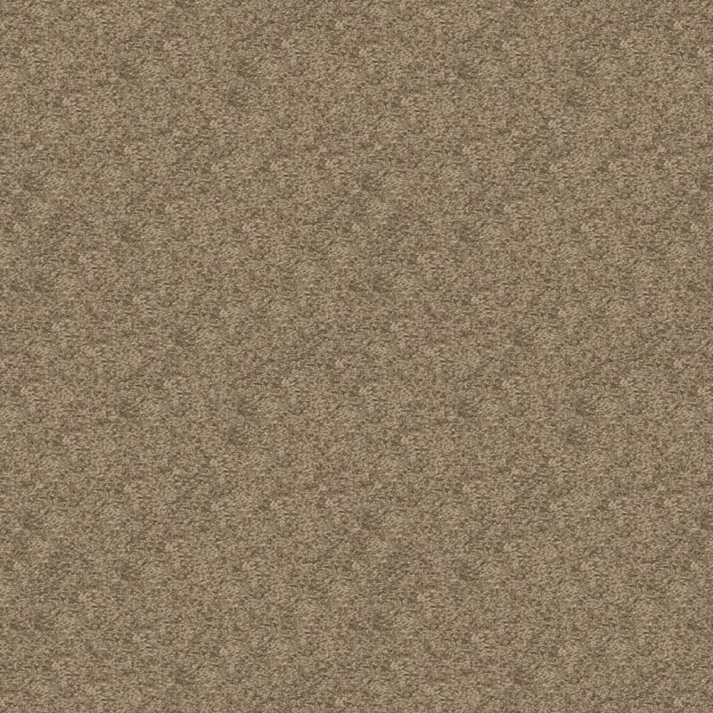 Vero Beach carpet by Masland