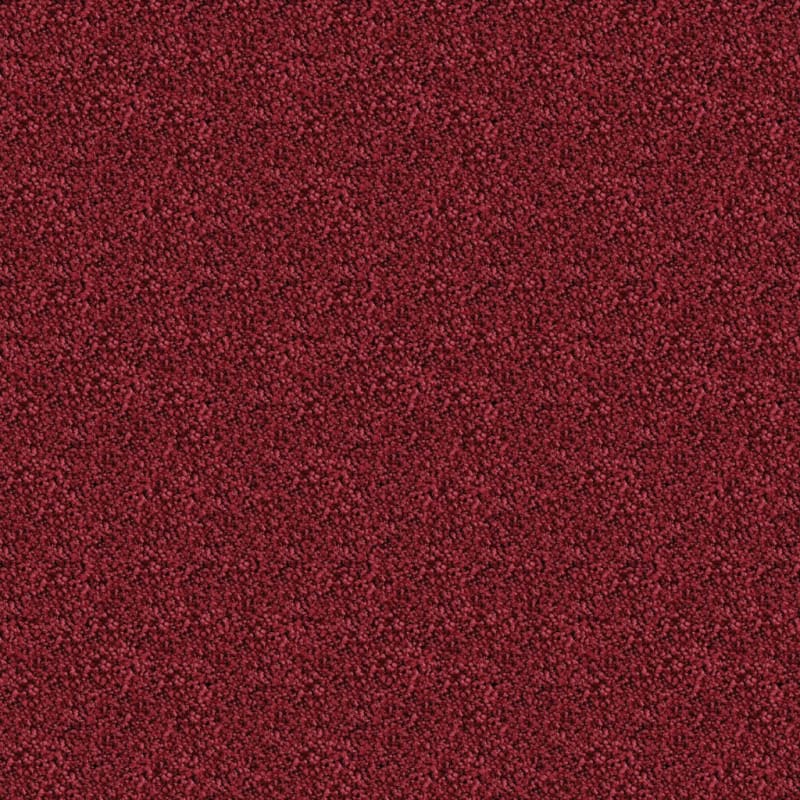 Shangri-La carpet by Masland