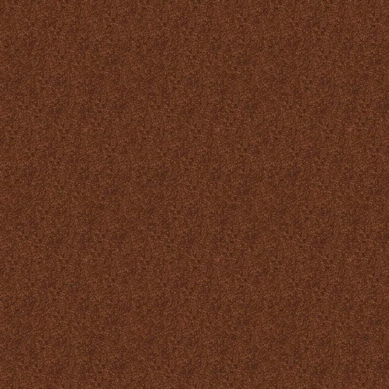 Embrace carpet by Masland