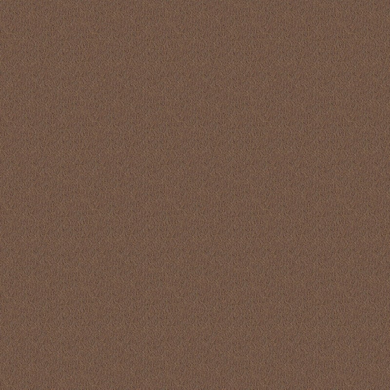 Panache carpet by Masland