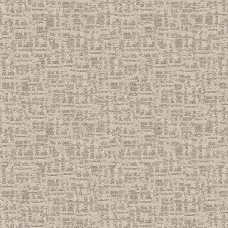 Censor carpet by Masland