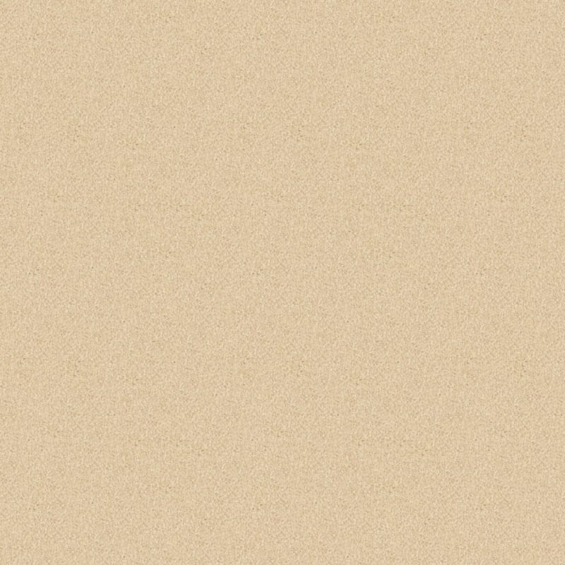 Oceanside carpet by Masland