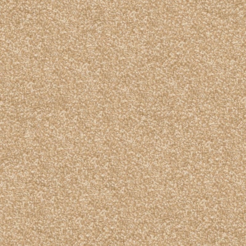 Beacon Hill carpet by Masland