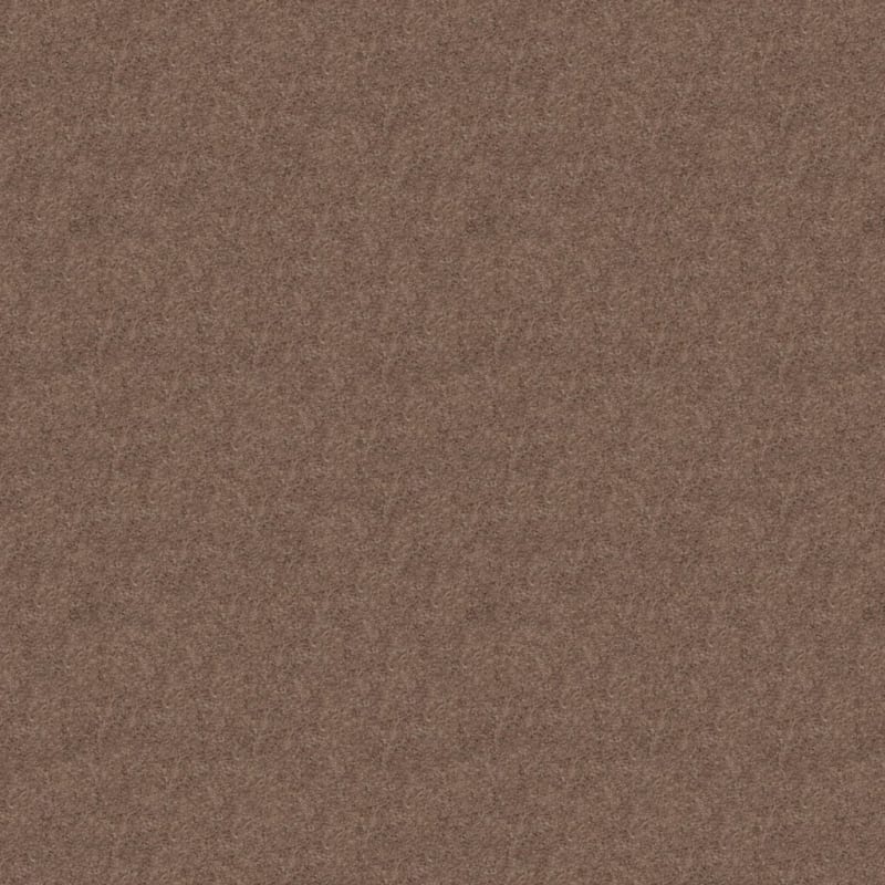 Embrace carpet by Masland
