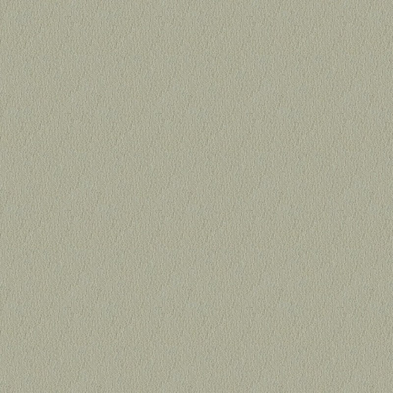 Panache carpet by Masland