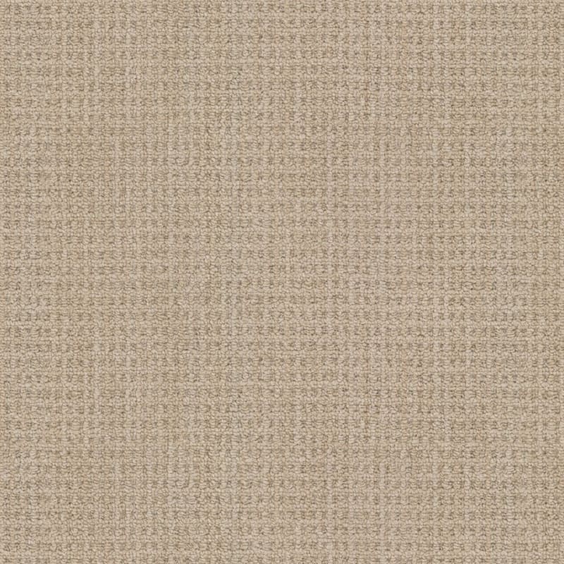 Winslow carpet by Masland