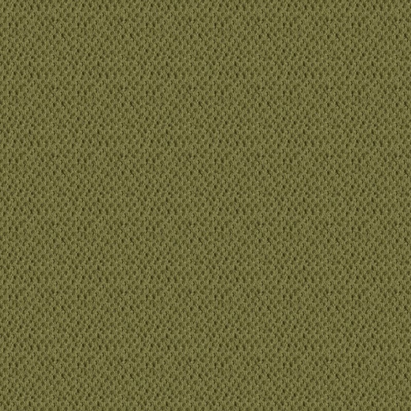 Seurat carpet by Masland