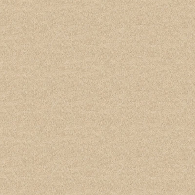 Oceanside carpet by Masland