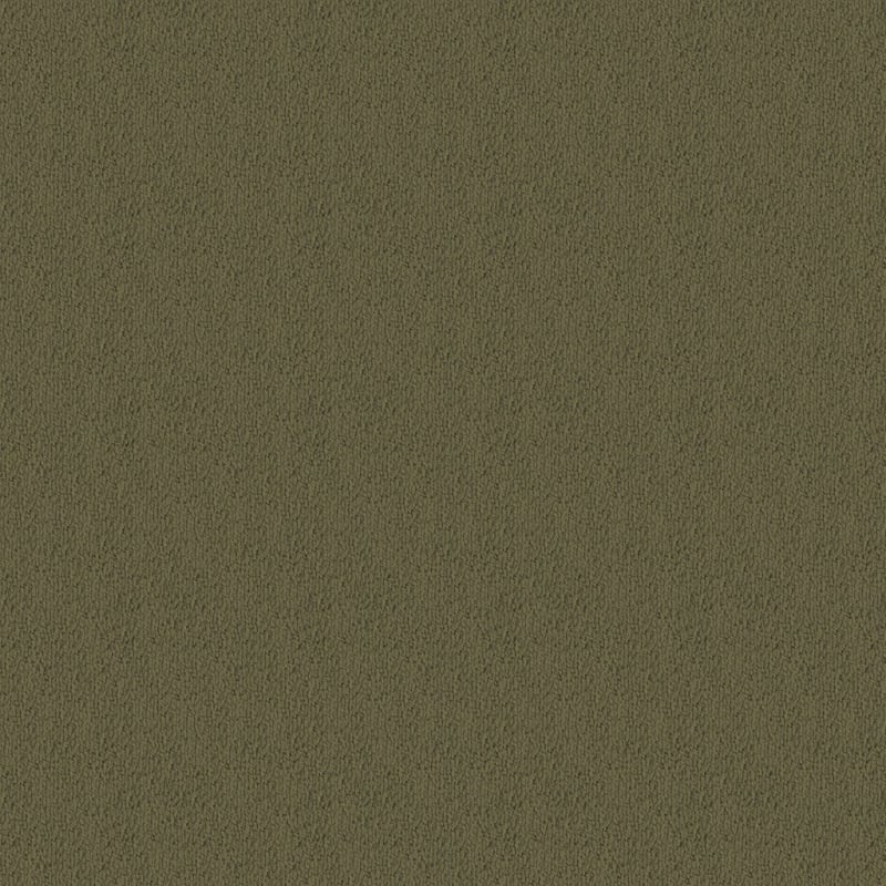 Novellino carpet by Masland