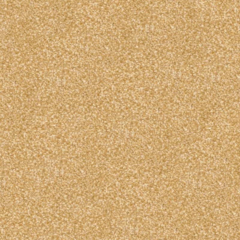 Beacon Hill carpet by Masland