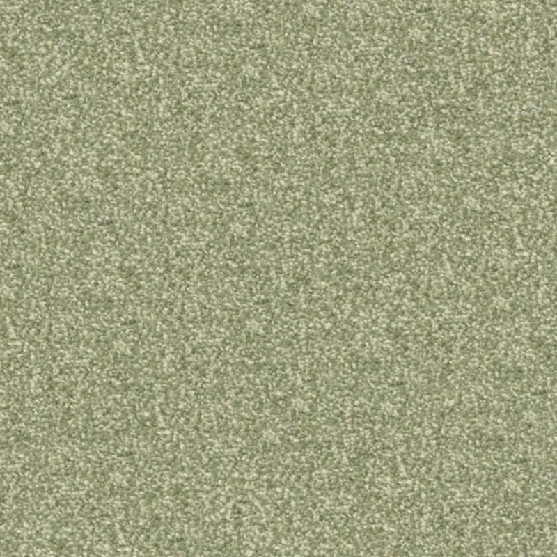 Beacon Hill carpet by Masland