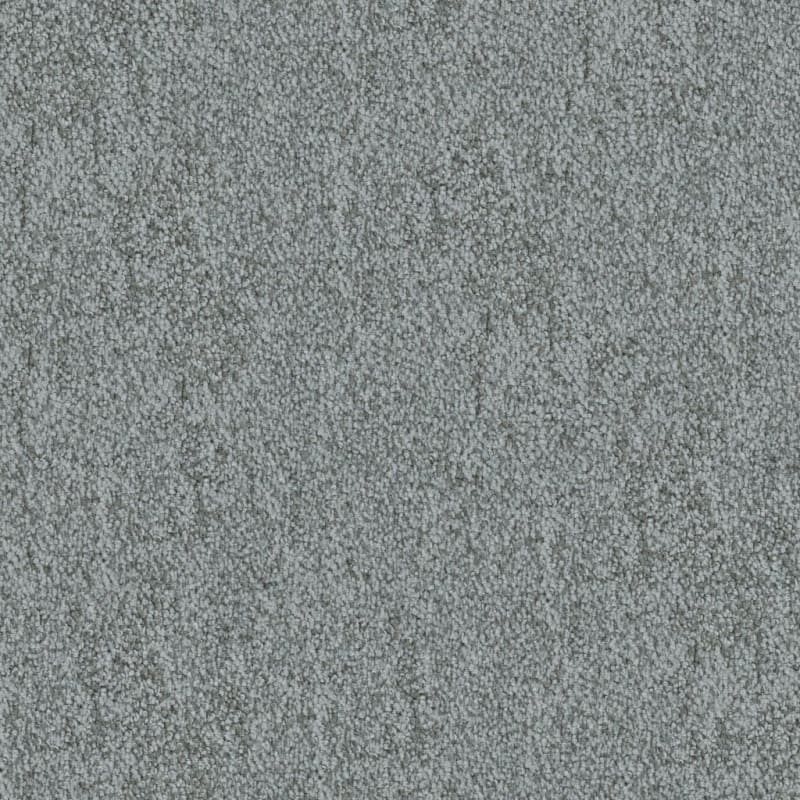 Buena Vida carpet by Masland
