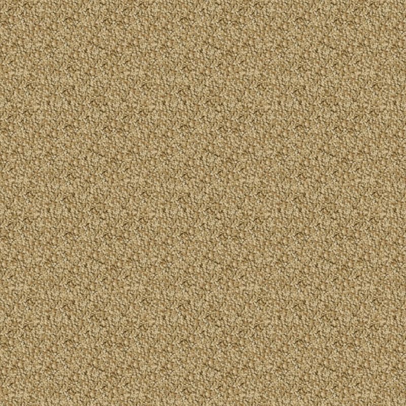 Shangri-La carpet by Masland
