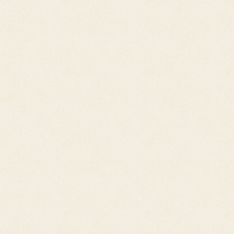 Oceanside carpet by Masland