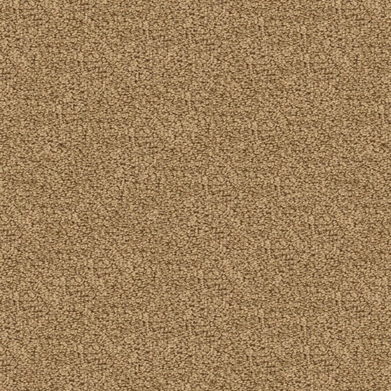 Marina Del Mar carpet by Masland