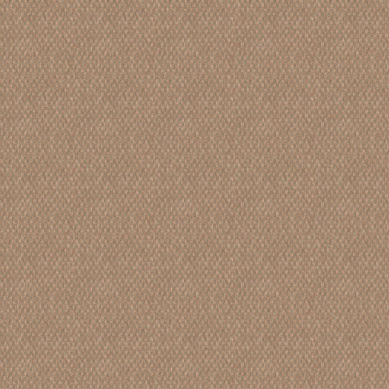 Trinidad carpet by Masland