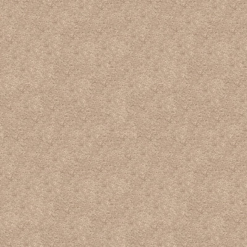 Knockout carpet by Masland
