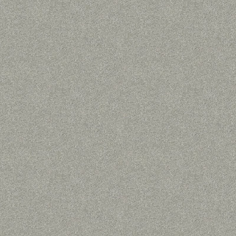 Hunter carpet by Masland