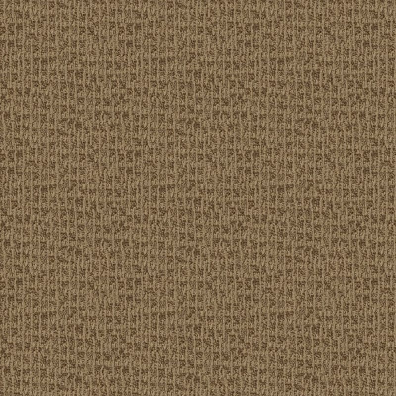Hudson Valley carpet by Masland