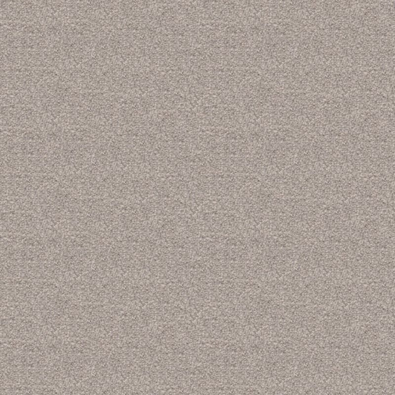 Ravishing carpet by Masland