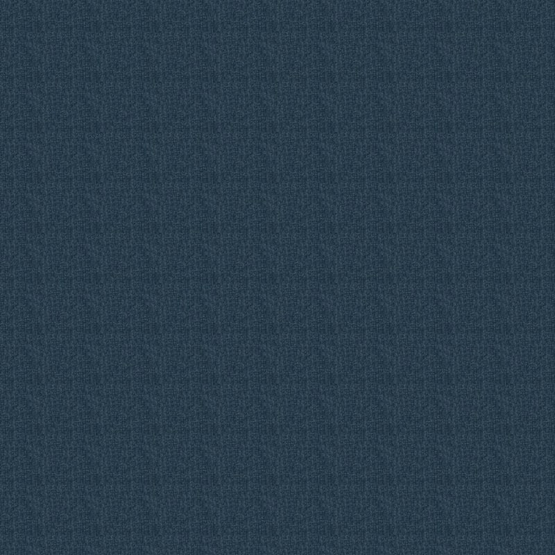 Casa Grande carpet by Masland