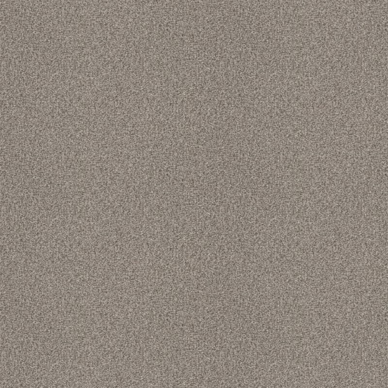 Hunter carpet by Masland