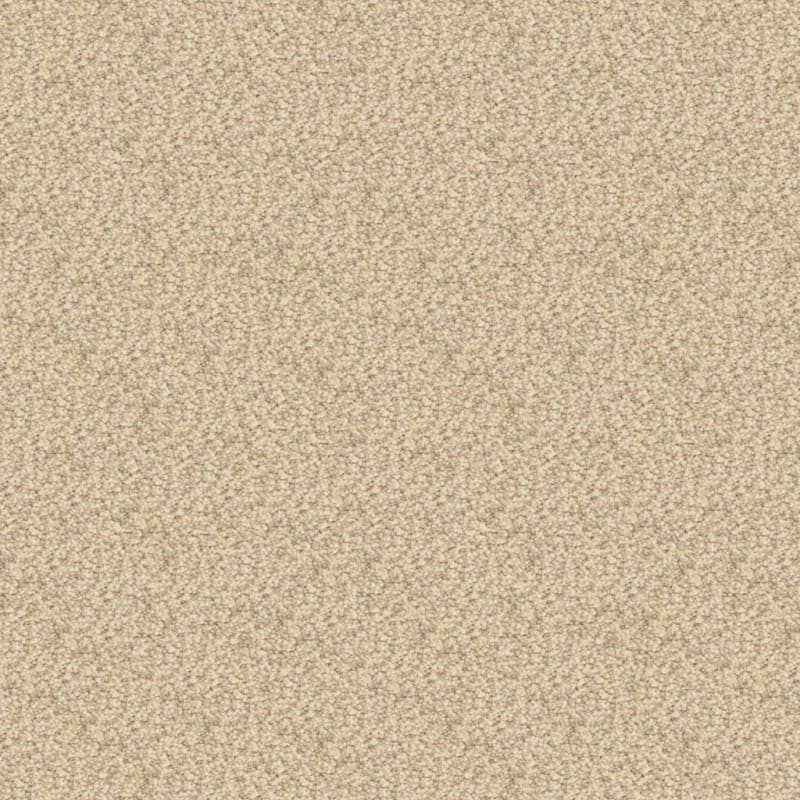 Staccato carpet by Masland