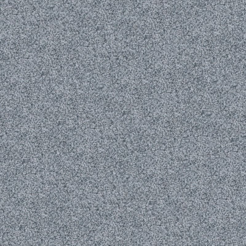 Boca Raton carpet by Masland