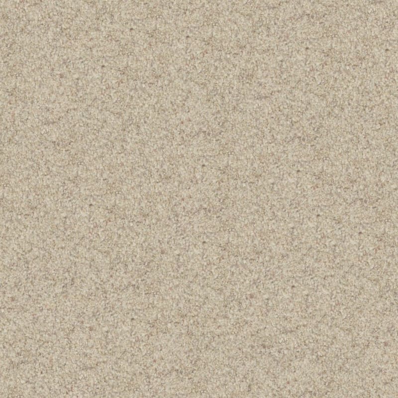 Boca Raton carpet by Masland