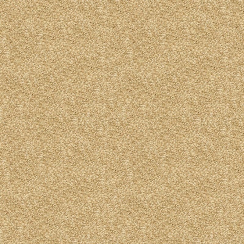 Staccato carpet by Masland