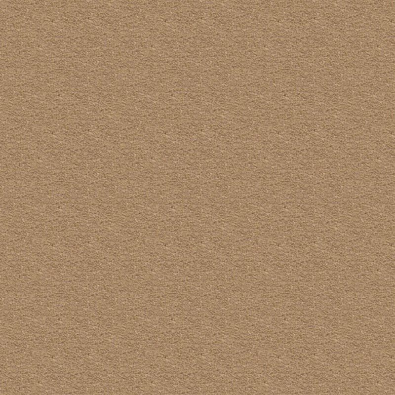 Ravishing carpet by Masland