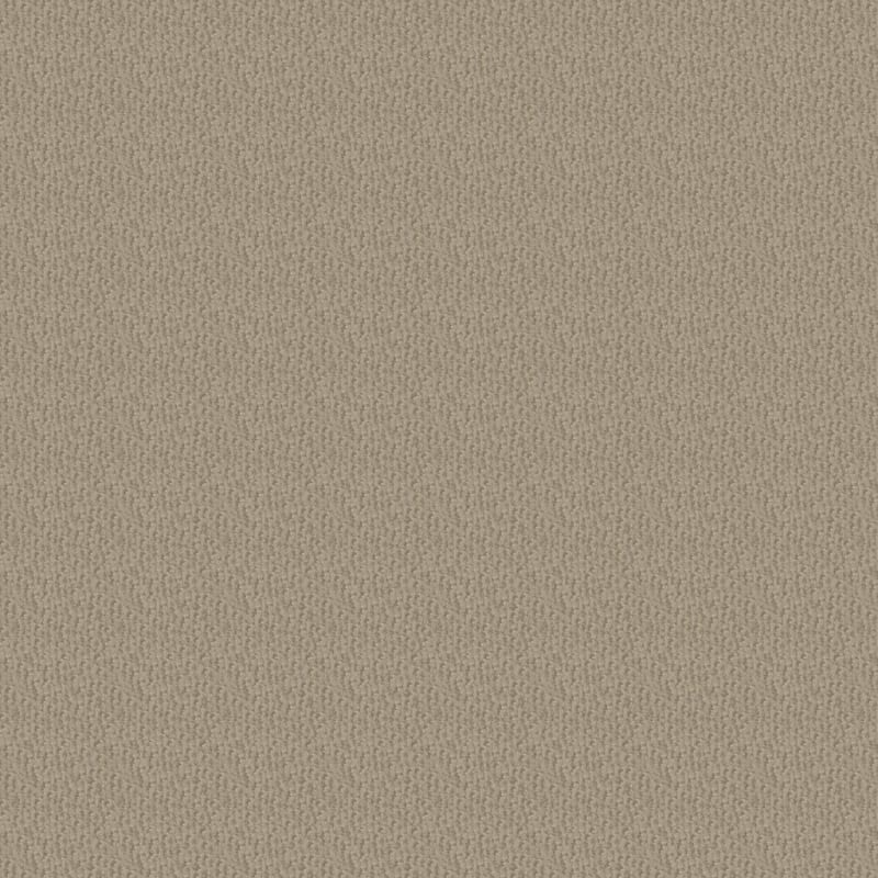 Pinehurst carpet by Masland