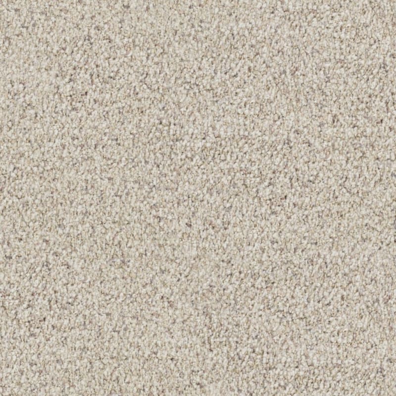 St. Augustine carpet by Masland