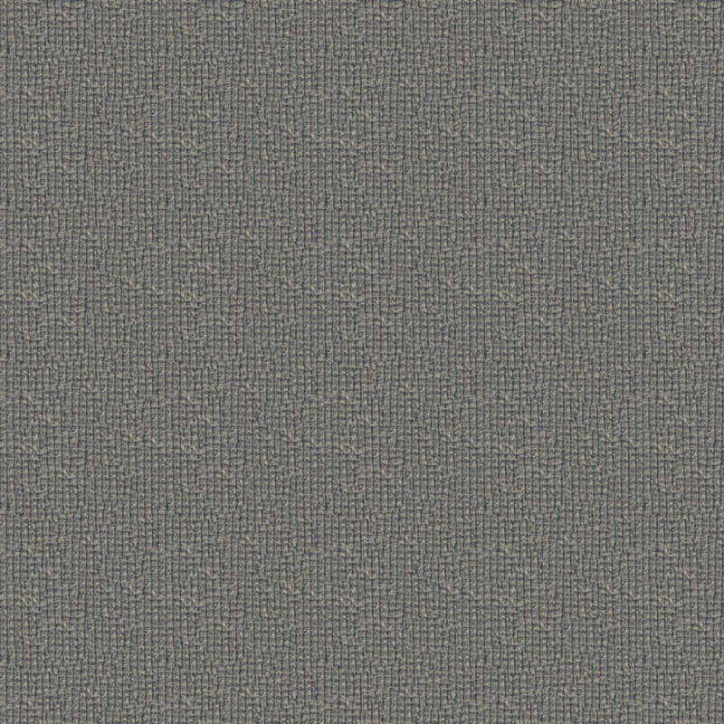 Alpha carpet by Masland