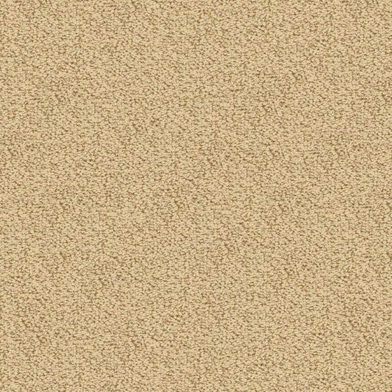 Marina Del Mar carpet by Masland