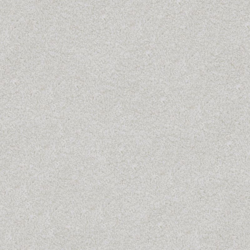 Boca Raton carpet by Masland