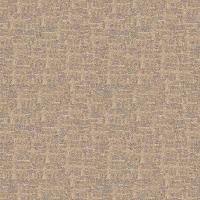 Censor carpet by Masland