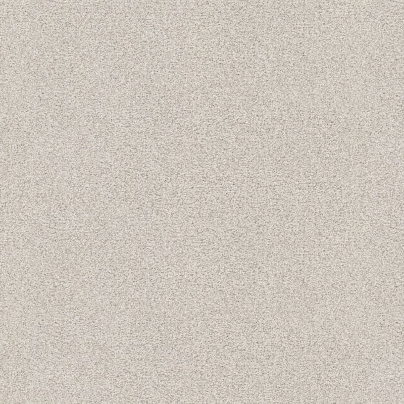 Tracker carpet by Masland