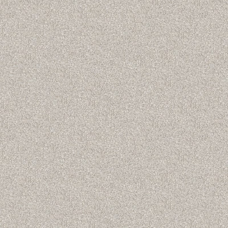 Tracker carpet by Masland