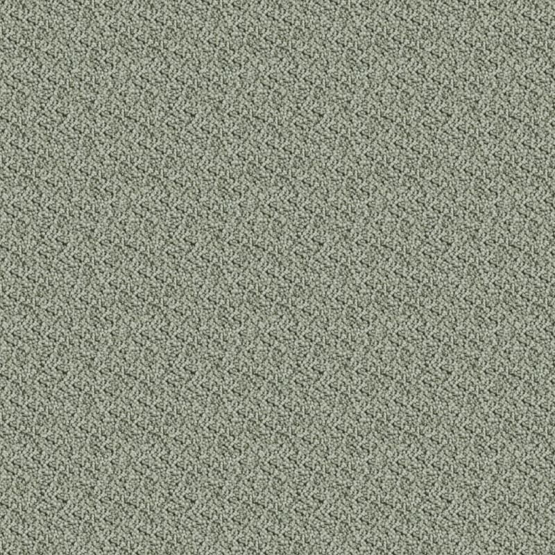 Shangri-La carpet by Masland