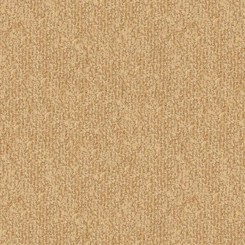 Mesa Verde carpet by Masland