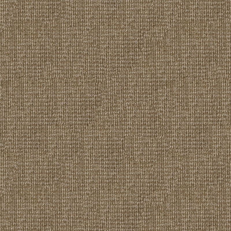 Serene Touch carpet by Masland