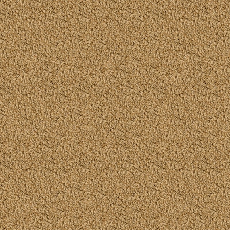 Shangri-La carpet by Masland