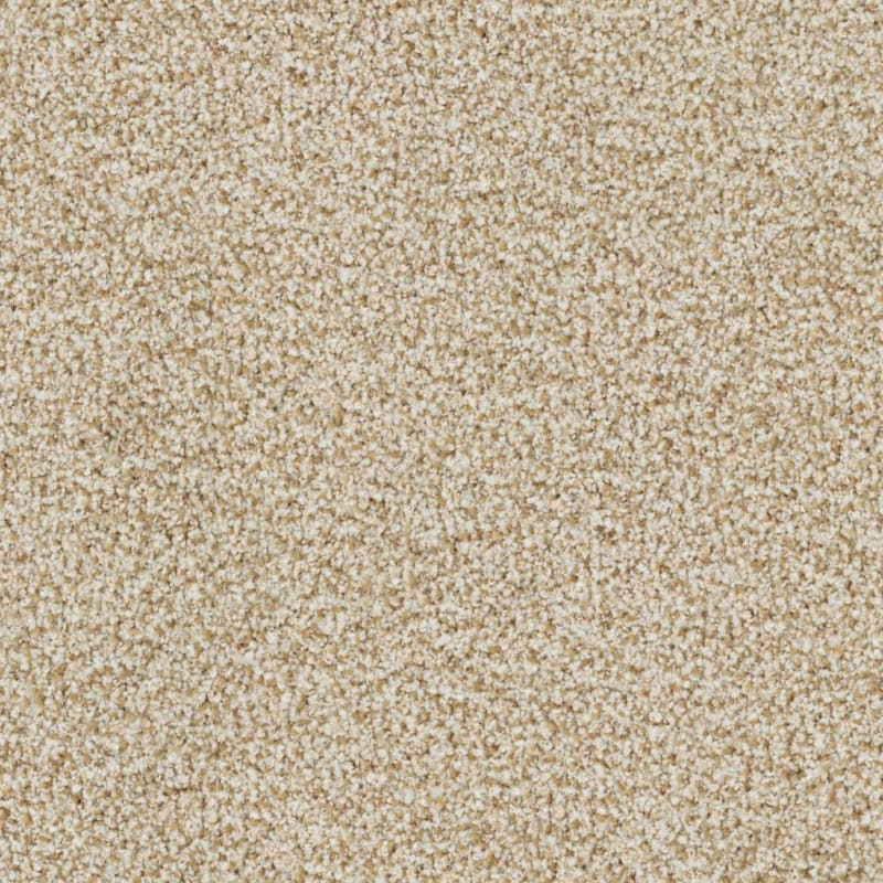 St. Augustine carpet by Masland