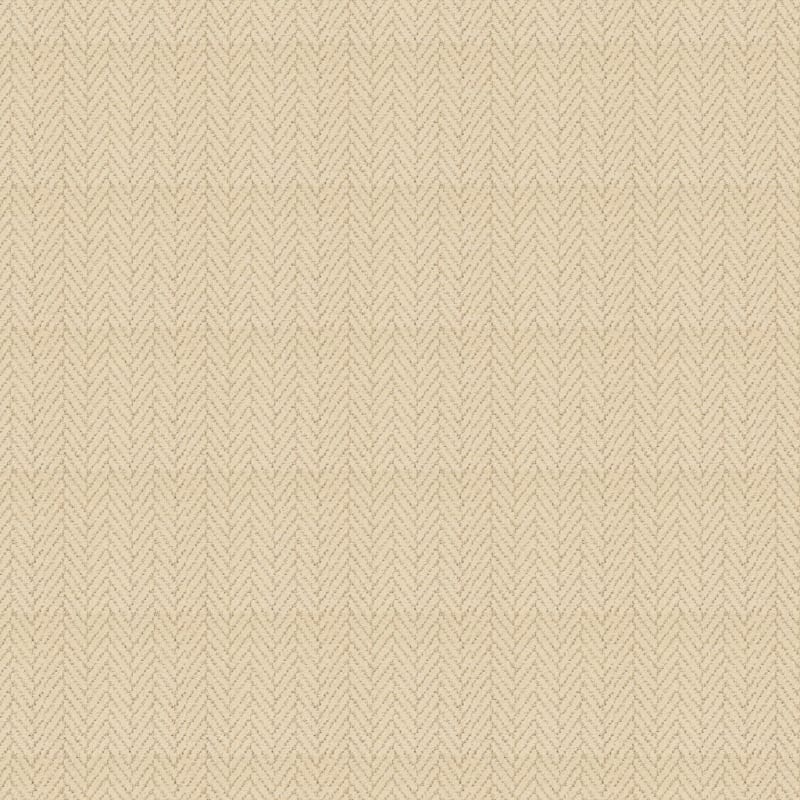 Distinguished carpet by Masland