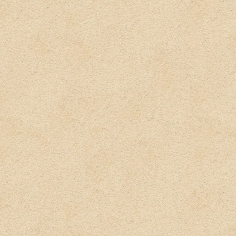 Knockout carpet by Masland