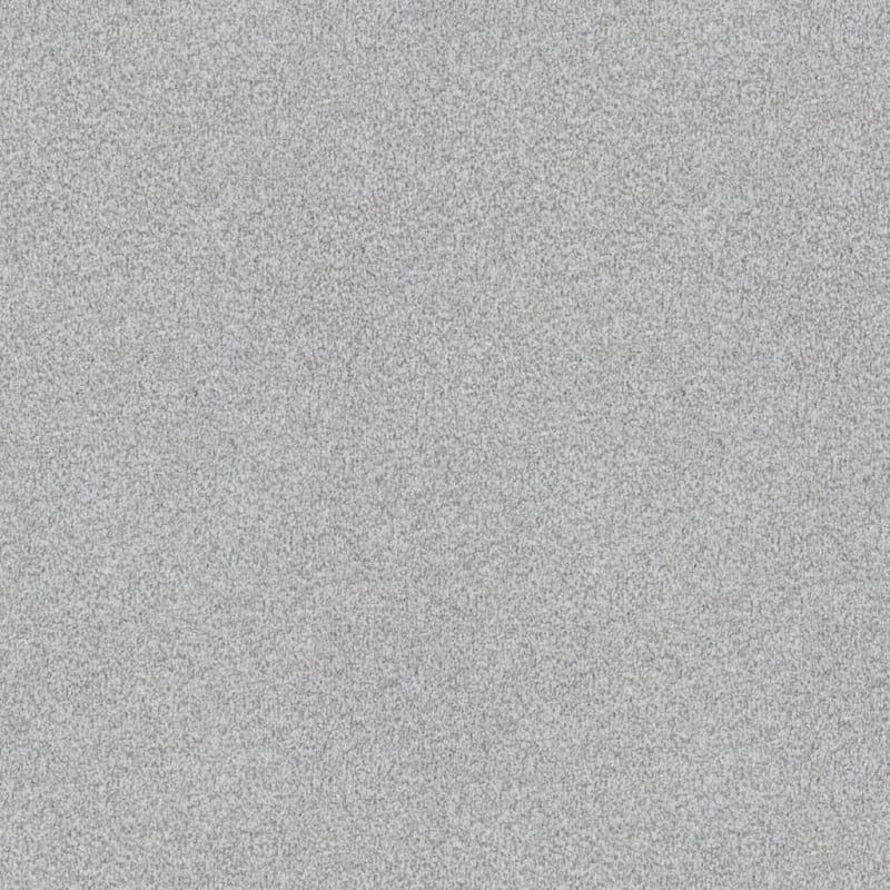 Santa Rosa carpet by Masland